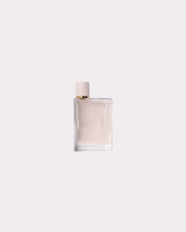 Burberry Her Burberry EDP 100ml For Women